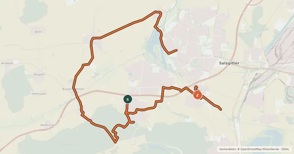 Kartenübersicht der Radroute Salzgitter-Route 31 NW